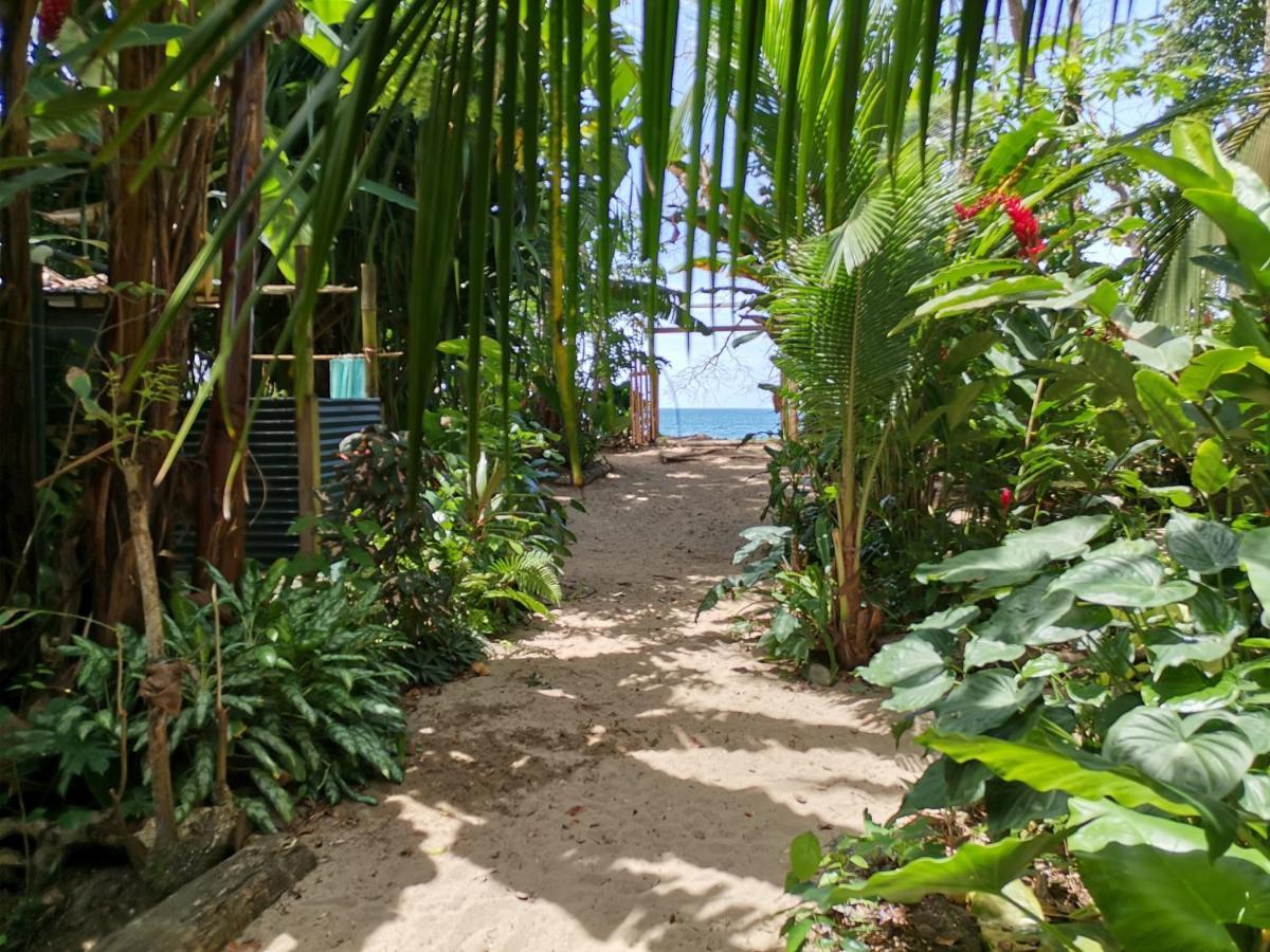 Oasis Hostel Puerto Viejo de Talamanca Εξωτερικό φωτογραφία