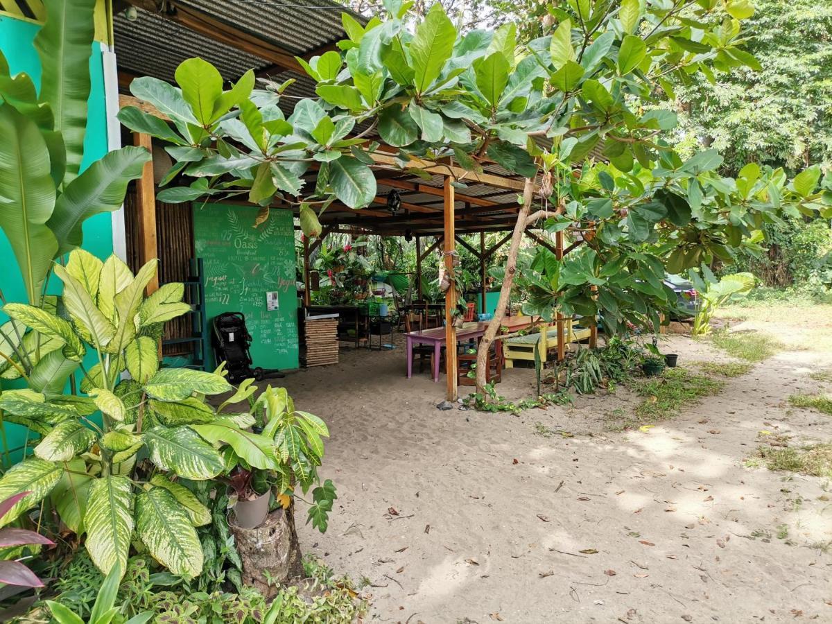 Oasis Hostel Puerto Viejo de Talamanca Εξωτερικό φωτογραφία