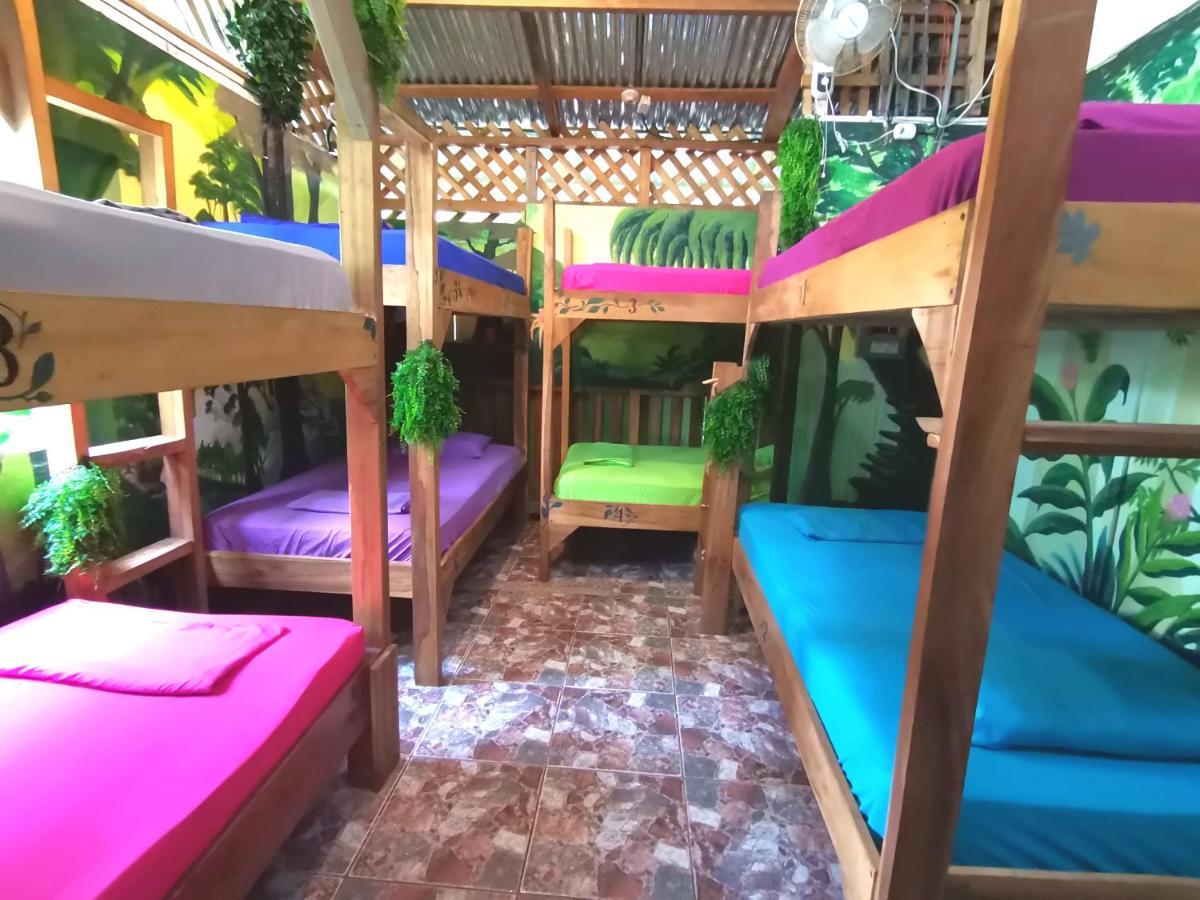 Oasis Hostel Puerto Viejo de Talamanca Εξωτερικό φωτογραφία