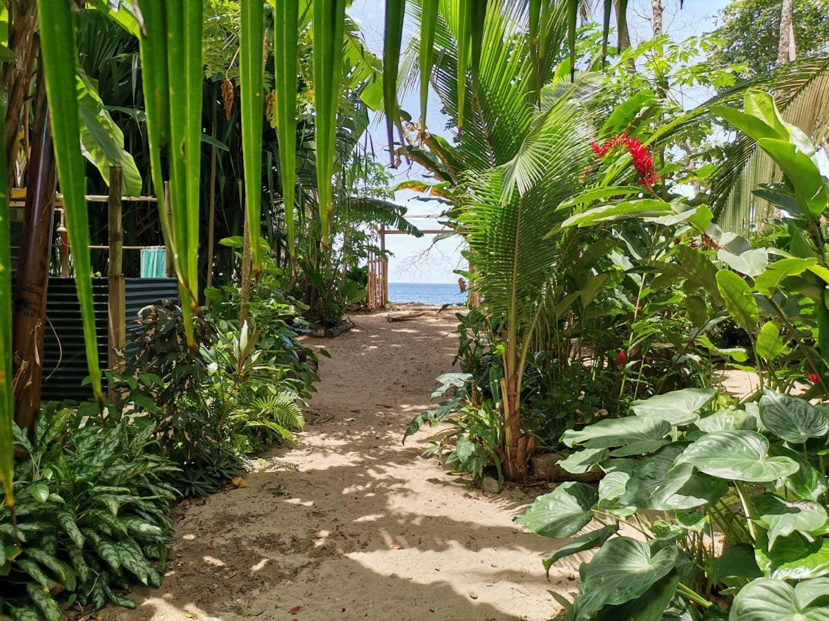 Oasis Hostel Puerto Viejo de Talamanca Εξωτερικό φωτογραφία