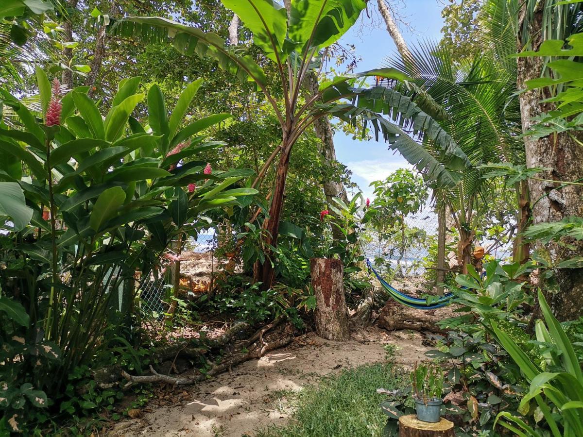 Oasis Hostel Puerto Viejo de Talamanca Εξωτερικό φωτογραφία