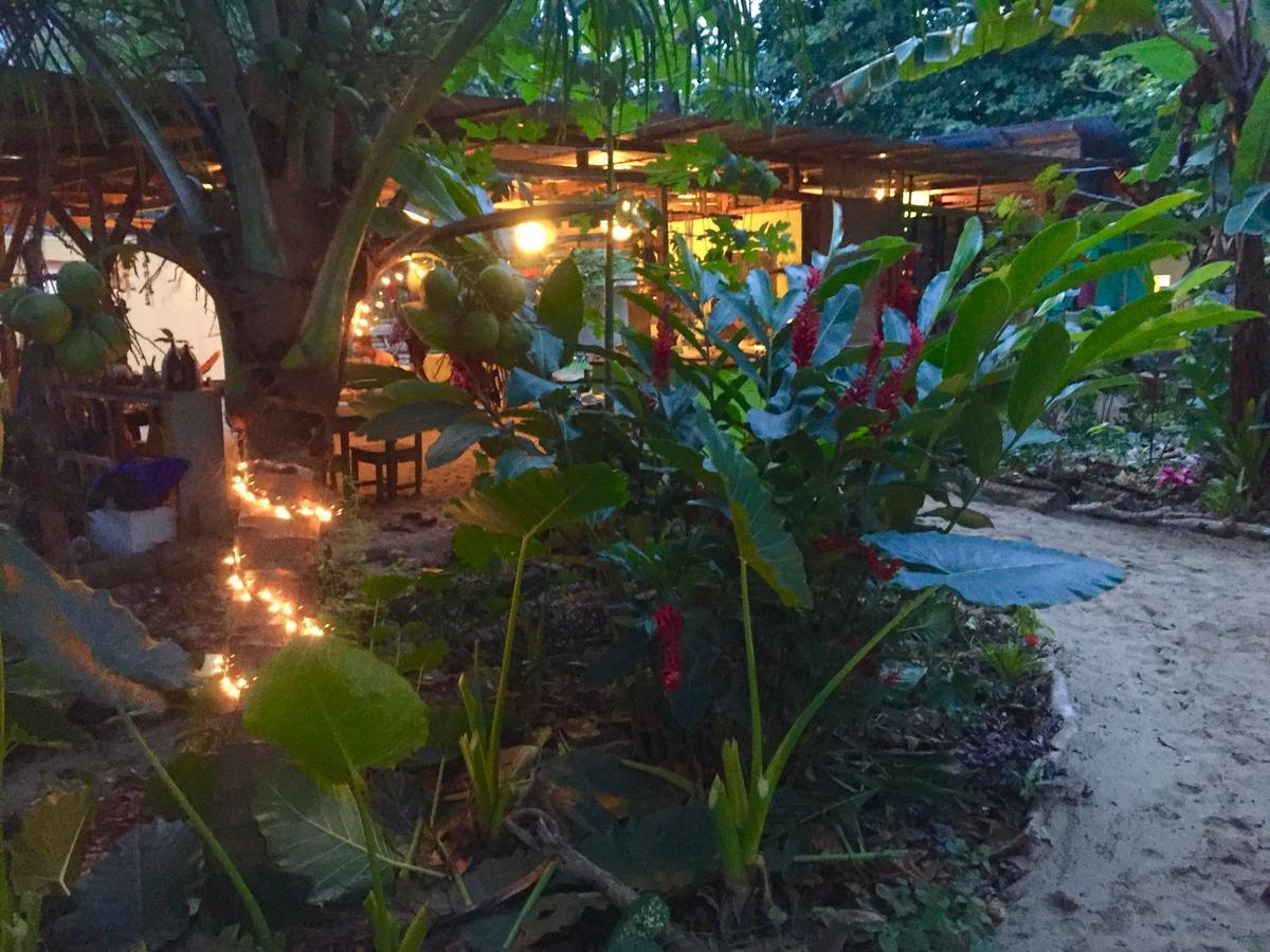Oasis Hostel Puerto Viejo de Talamanca Εξωτερικό φωτογραφία