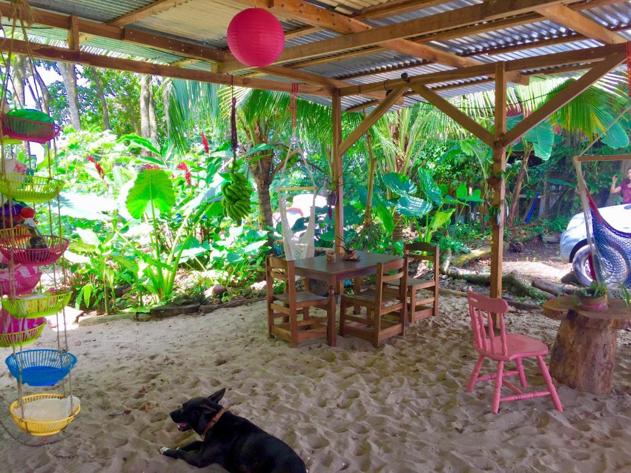 Oasis Hostel Puerto Viejo de Talamanca Εξωτερικό φωτογραφία