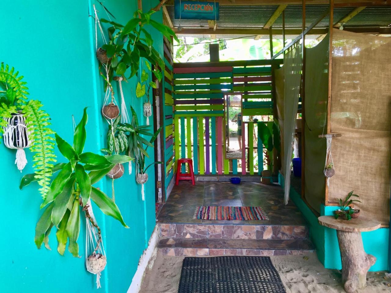 Oasis Hostel Puerto Viejo de Talamanca Εξωτερικό φωτογραφία