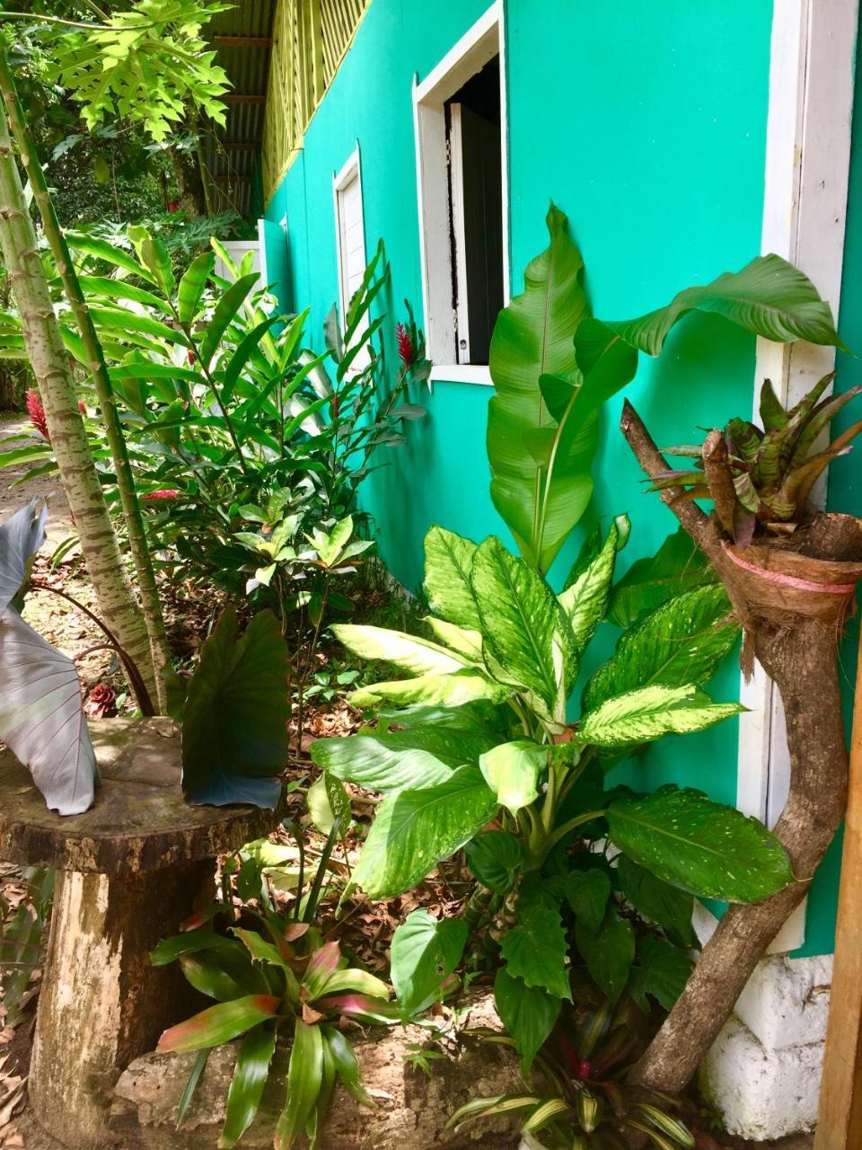 Oasis Hostel Puerto Viejo de Talamanca Εξωτερικό φωτογραφία